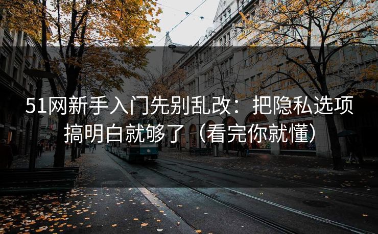 51网新手入门先别乱改：把隐私选项搞明白就够了（看完你就懂）