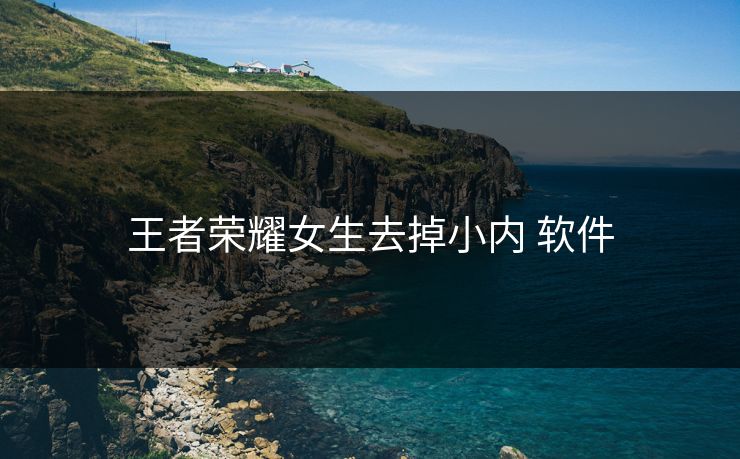 王者荣耀女生去掉小内 软件