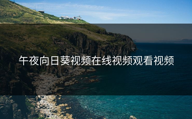 午夜向日葵视频在线视频观看视频